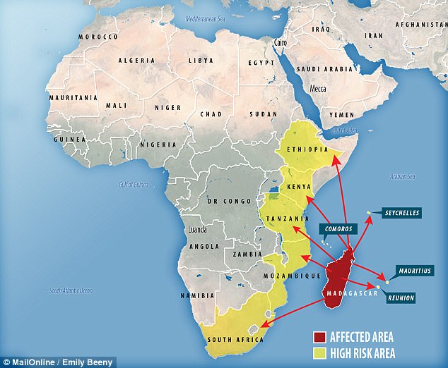 Day #226 in lockdown in Mumbai, India…Election results day…Bubonic plague in Africa, two years ago…