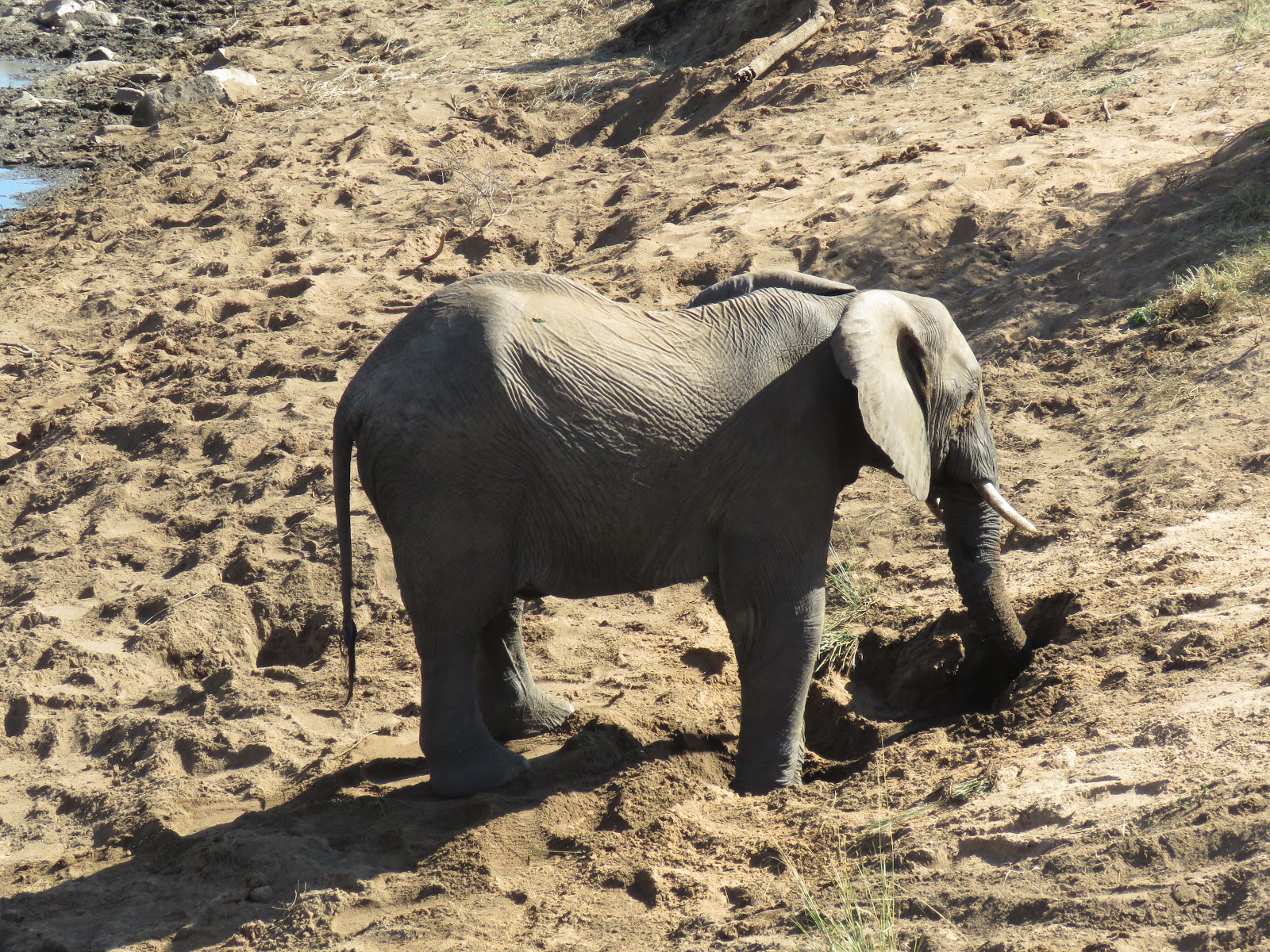 Making the most of time available for family and friends…Scary news in South Africa…