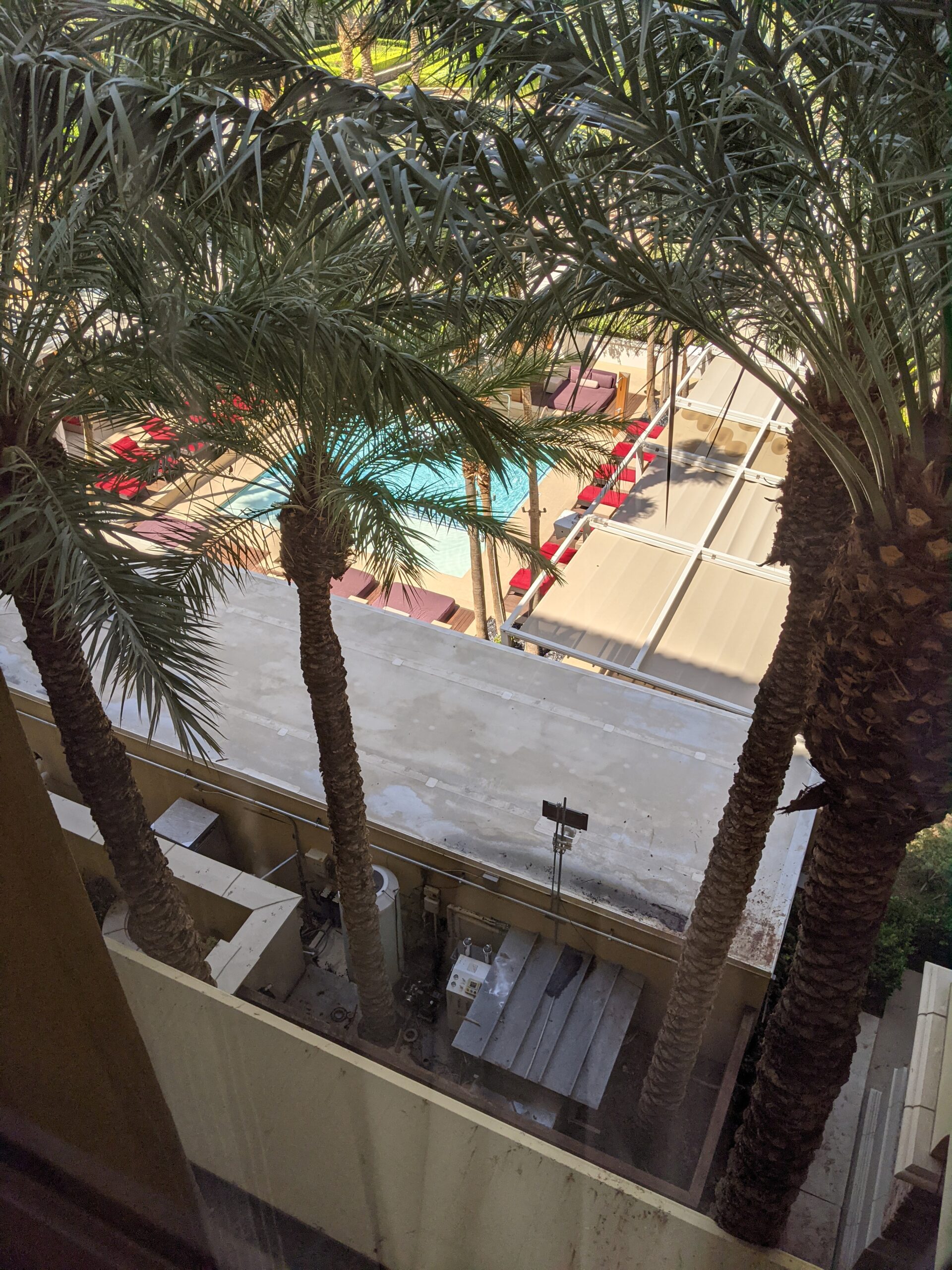 Las Vegas is unlike anywhere else in the world…What a city!…What a nightlife!…