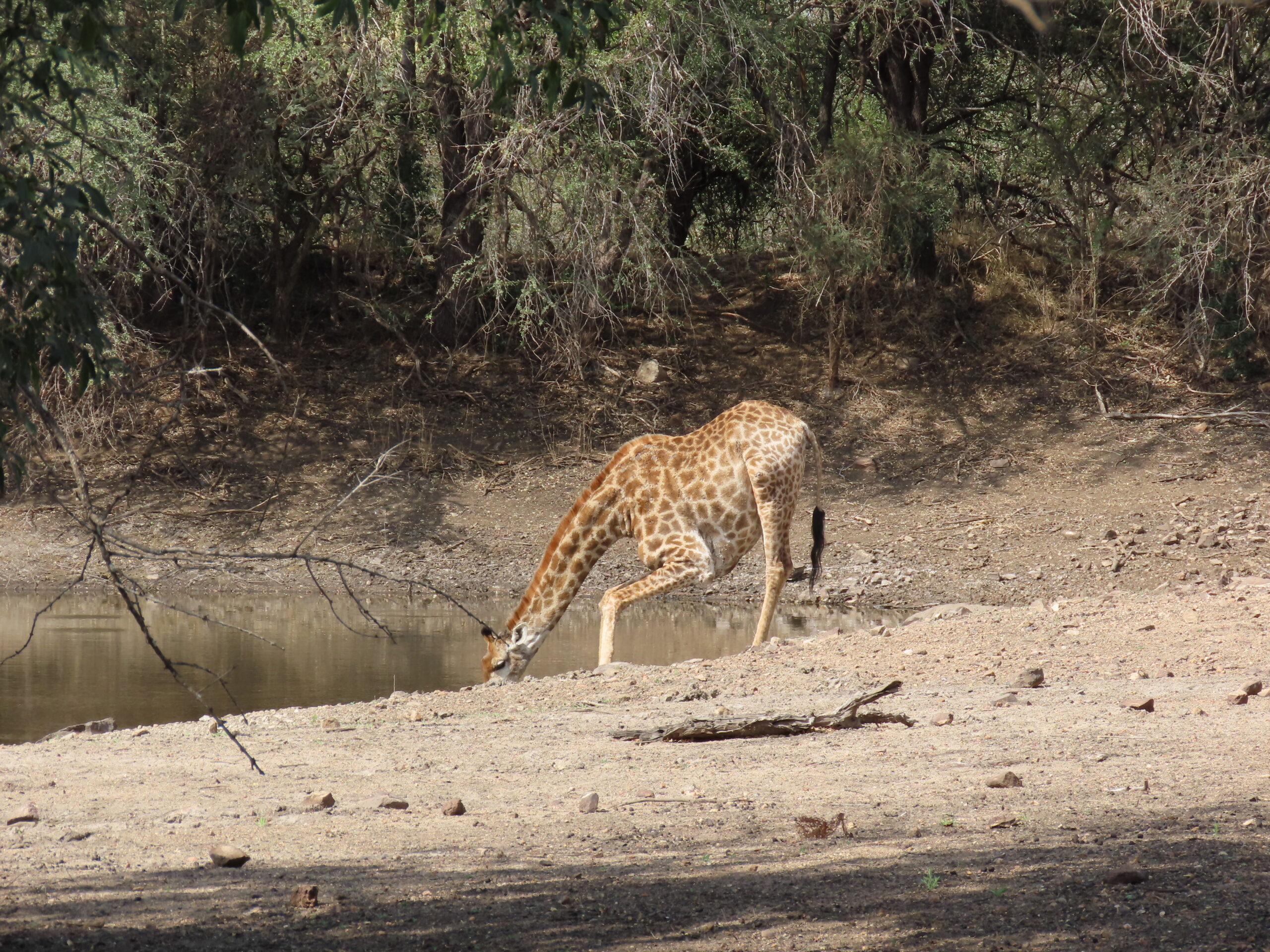 Delightful evening at the river with friends…Remaining photos from Frikkee’s Dam…