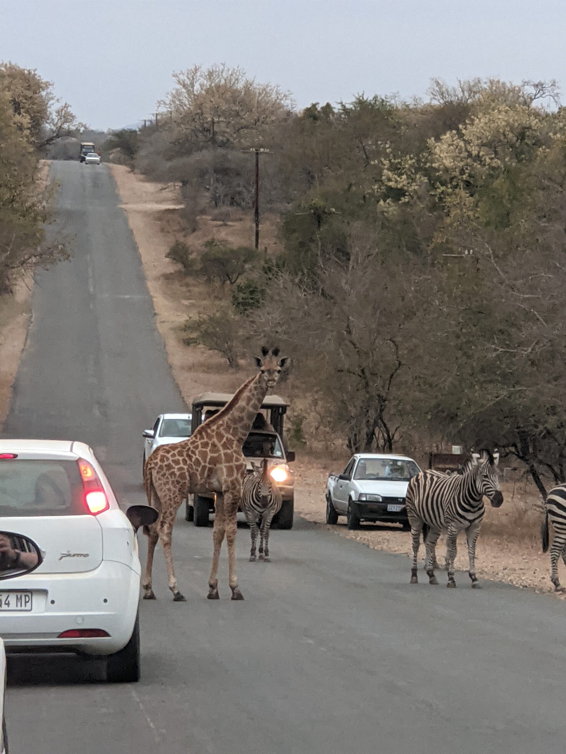 Day #4, no water…No power?…We knew what to expect in Africa…