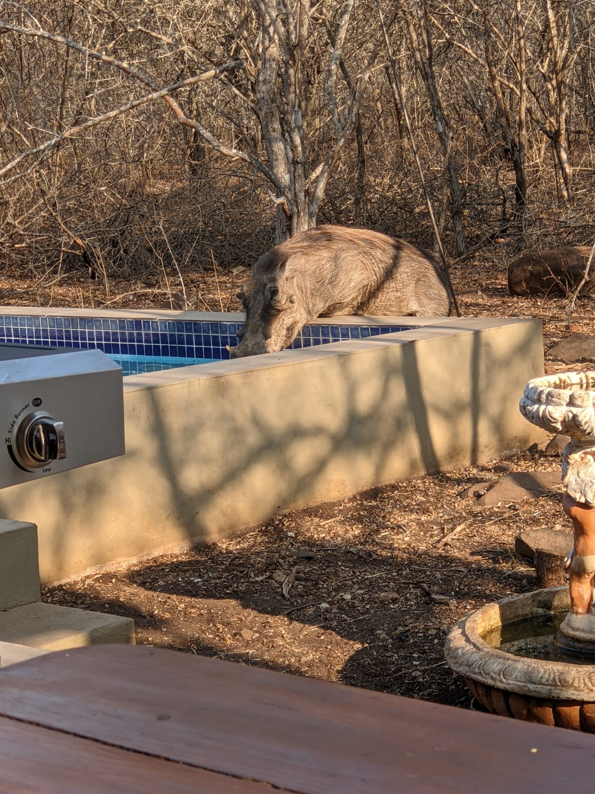 Day #5, water is back!!!…Yeah, what a relief…