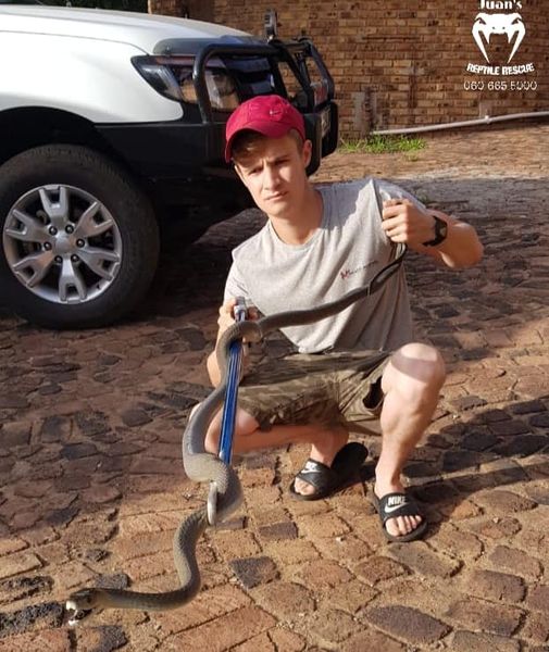 How many snakes did Juan’s Reptile Rescue capture in January, 2022?…Unbelievable!…