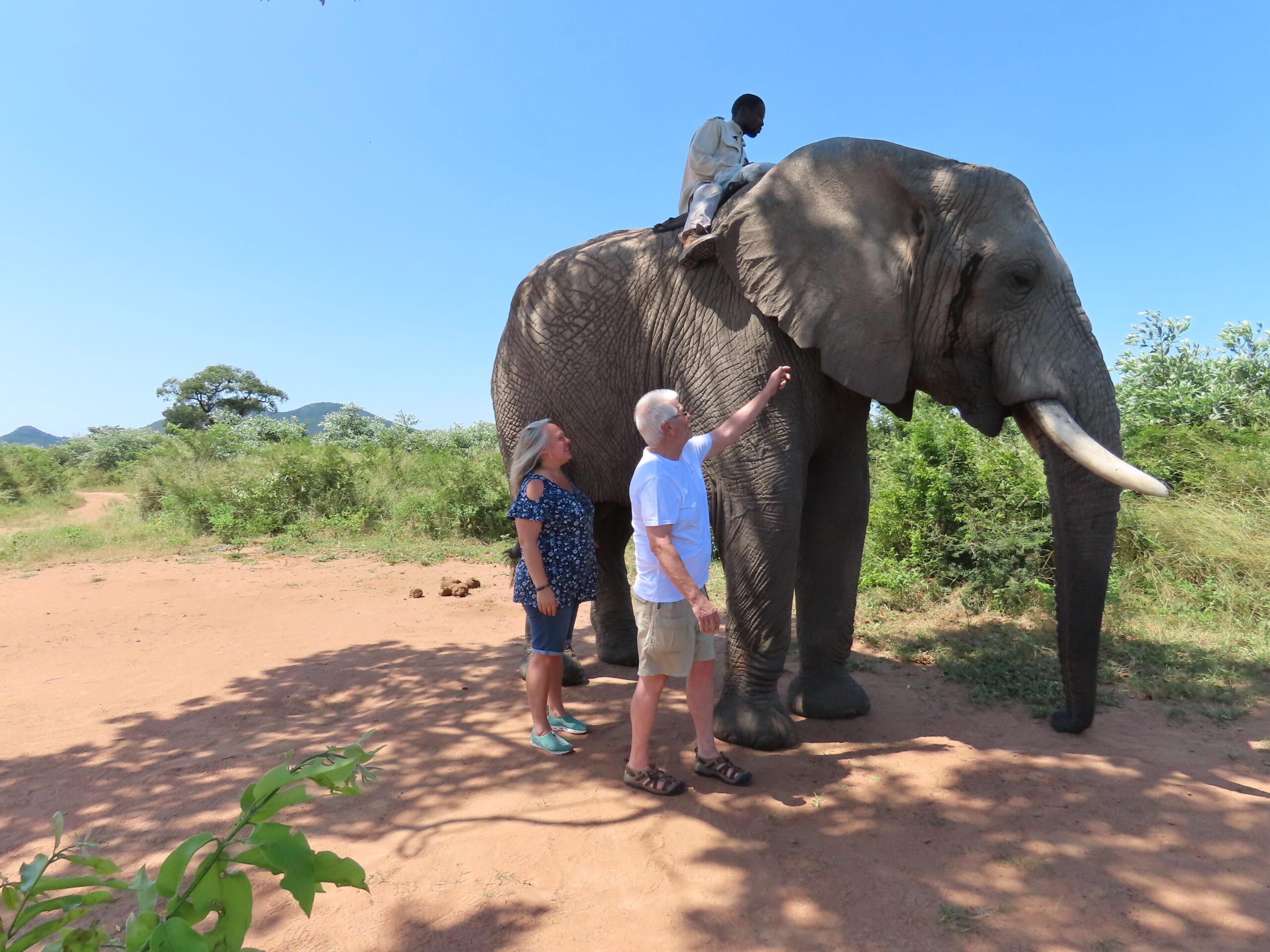 Part 2…Exciting birthday plans revealed…Please watch our video!!!..This is the fifth time my birthday was spent in the bush!…
