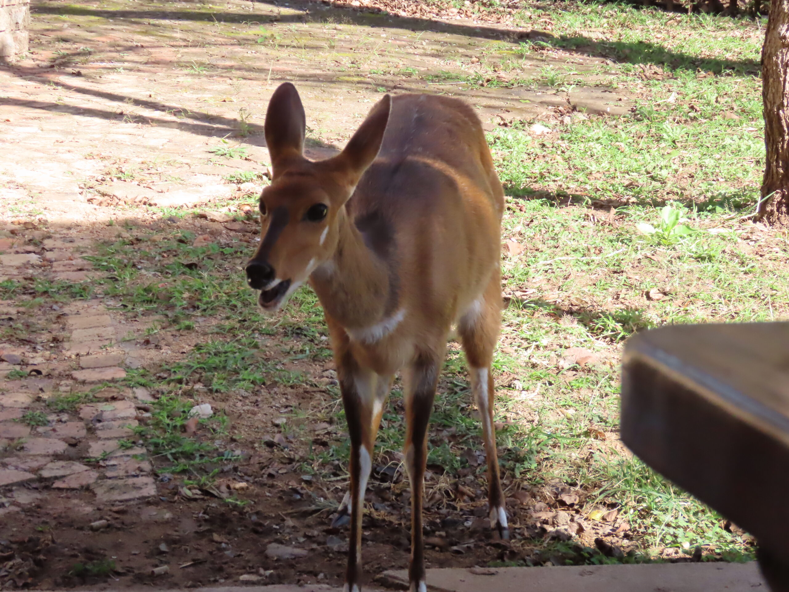 The quietude of the bush has returned….Lovely human visitors…