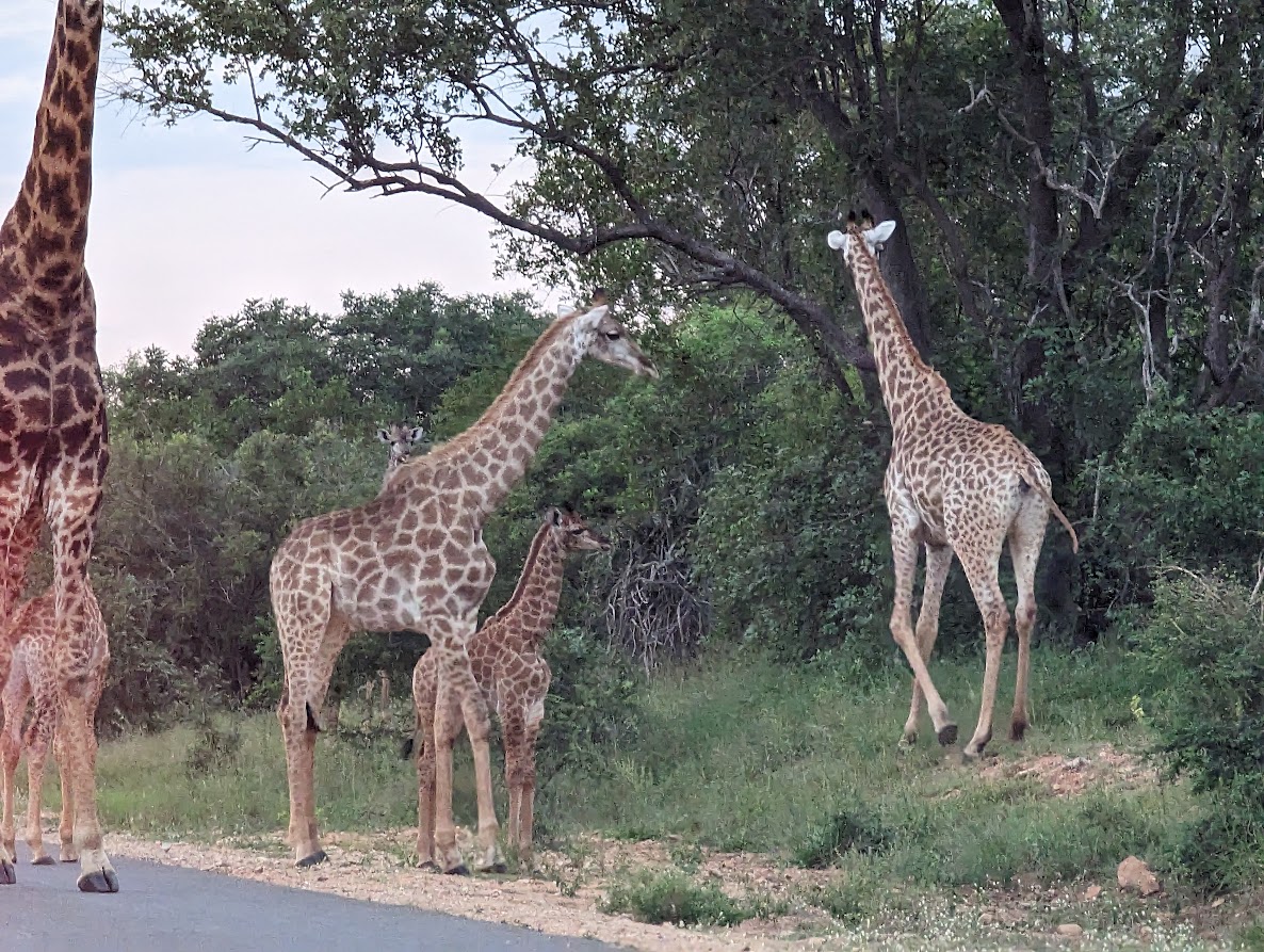 Tom has left for Nelspruit for his medical tests…No results until Friday…