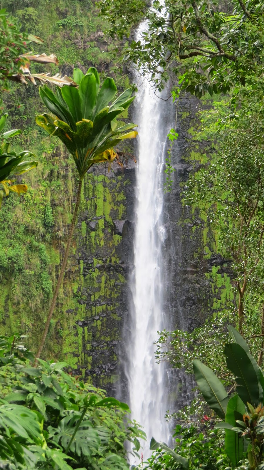 Our new itinerary will be posted on Christmas Day…Four days and counting…