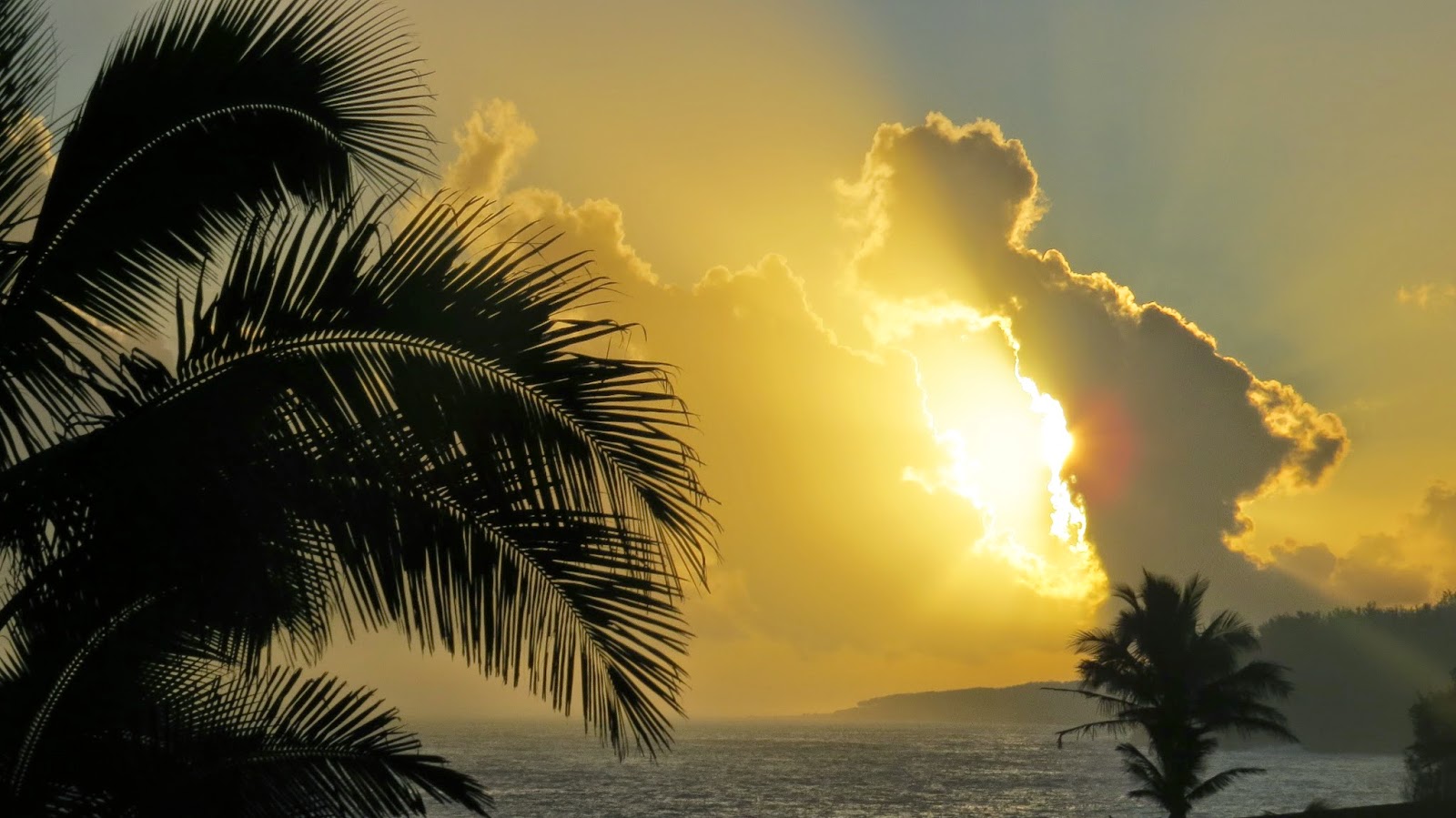 Beware of Cruise Scams on Facebook…How to Avoid Being “Taken for a Ride”…Six days and counting…