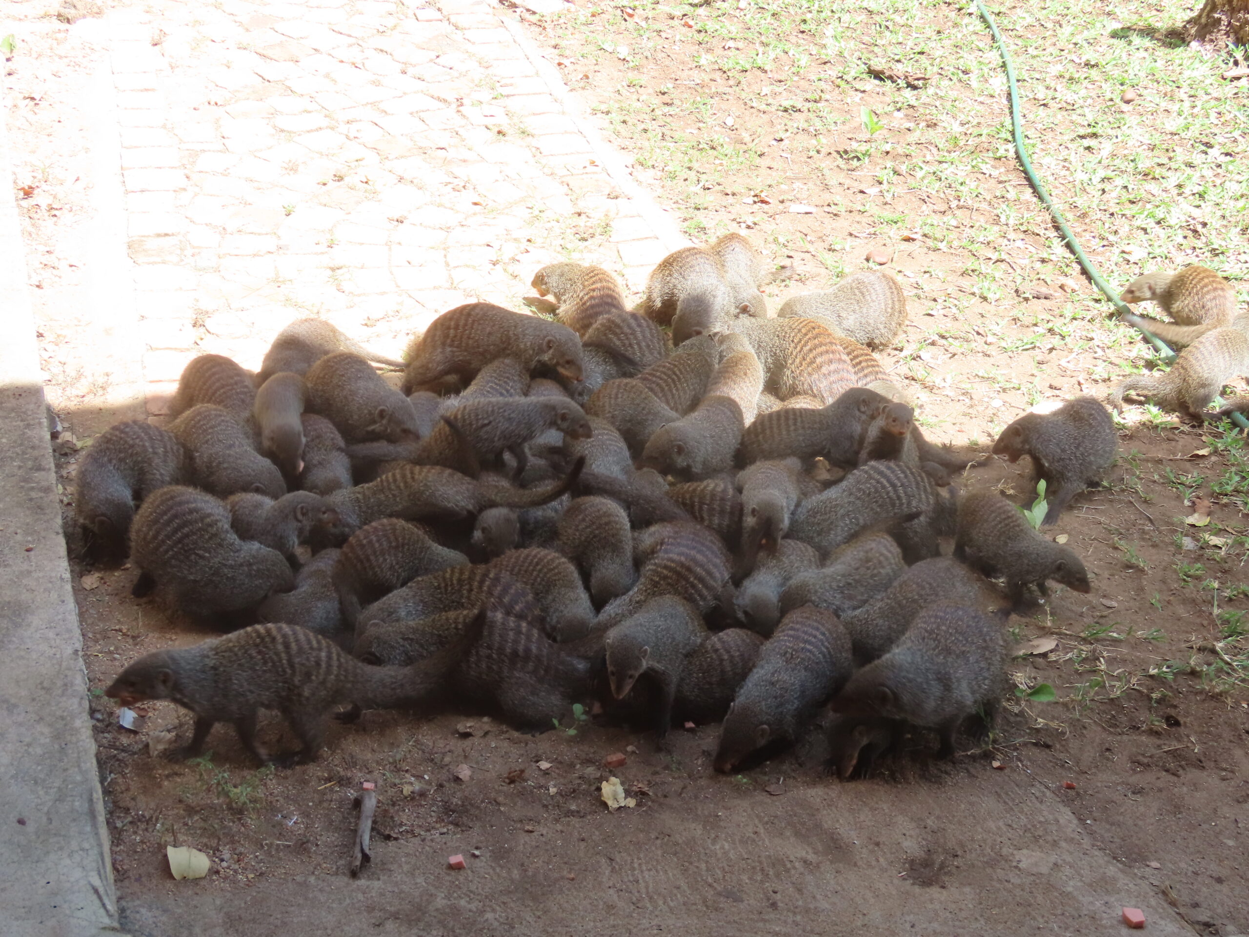 The weekend has begun…Socializing on the menu…New wildlife video…