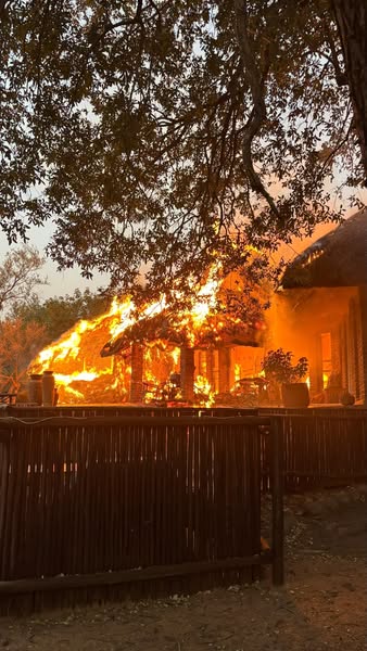 House fire in Marloth Park!…Graduation Day for Maisie!