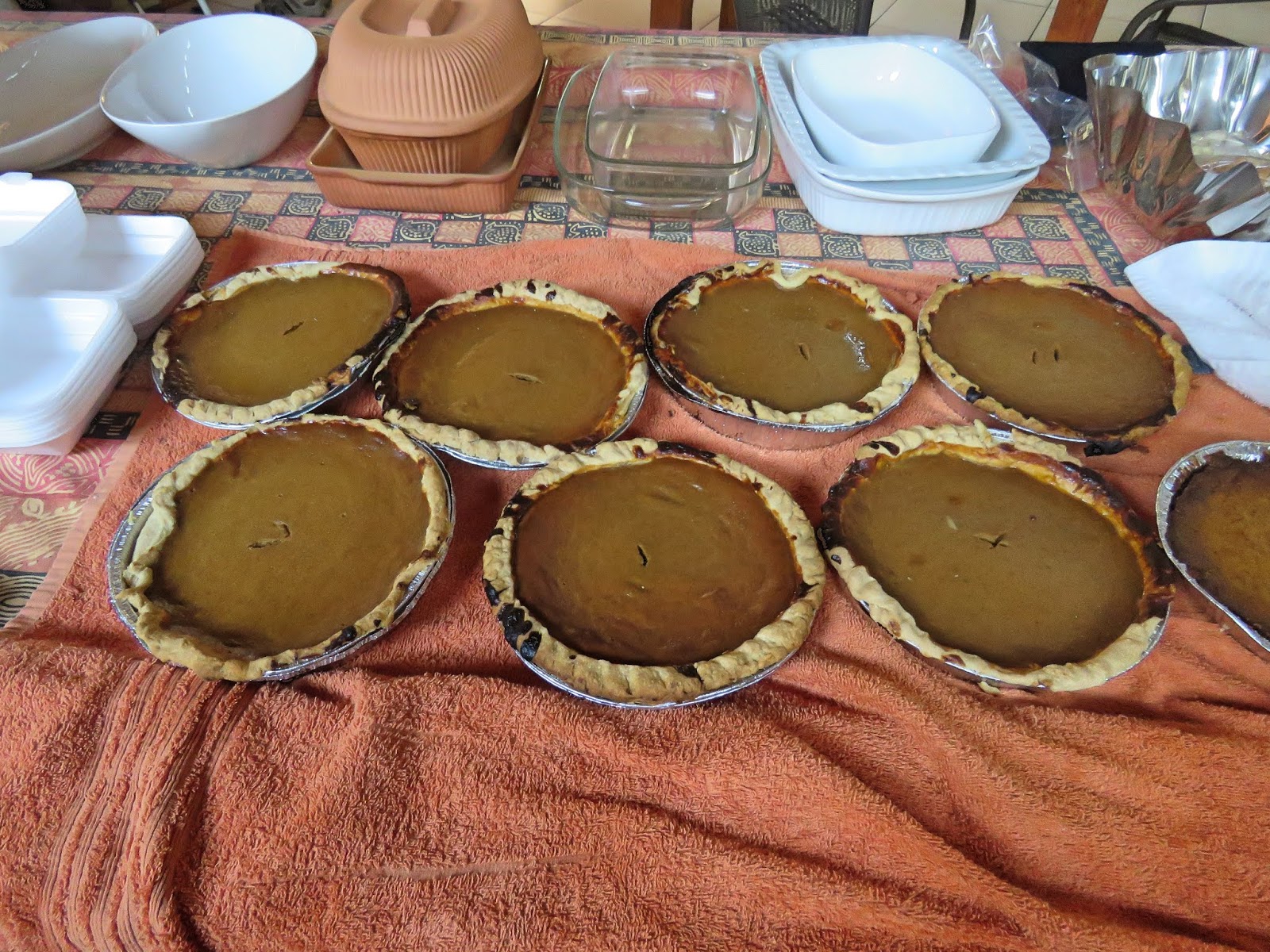 Day 31…Another sea day…Remembrance of pumpkin pie making the day before Thanksgiving in the US and again in Marloth Park, South Africa…