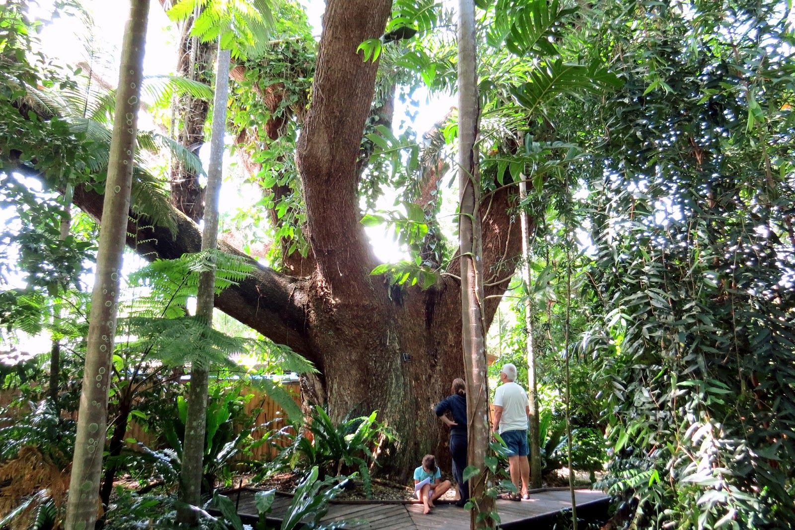 Day 45…Port of call…Cairns, Australia…Ten key facts about Carins…
