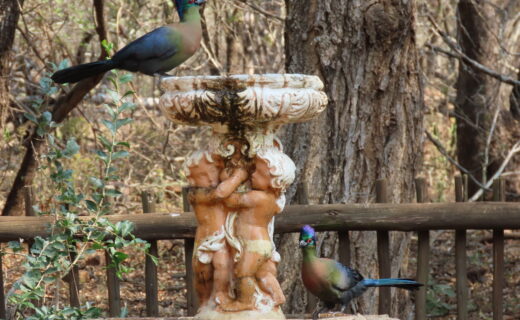 Preparing for house guests staying longer than a few days…What are out mutual expectations?…