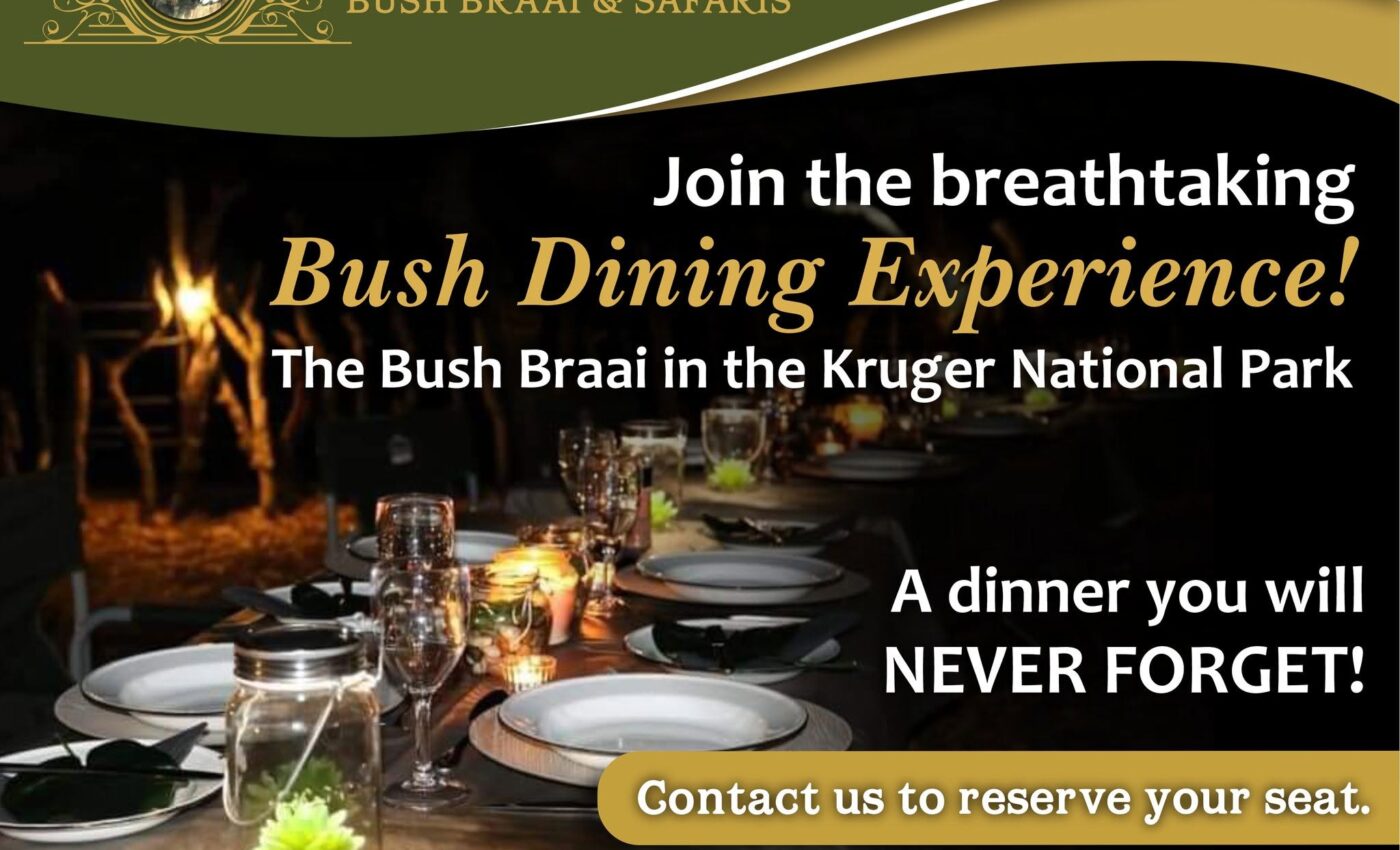 We’re off to the night game drive and bush braai in Kruger National Park…