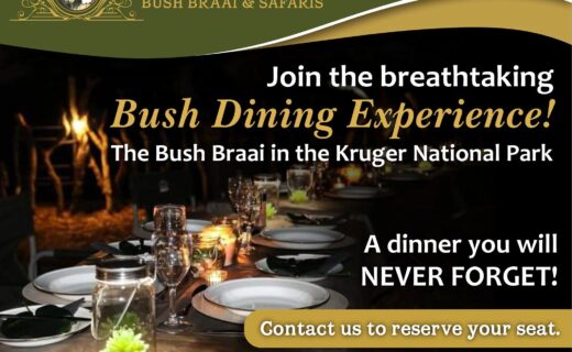 We’re off to the night game drive and bush braai in Kruger National Park…
