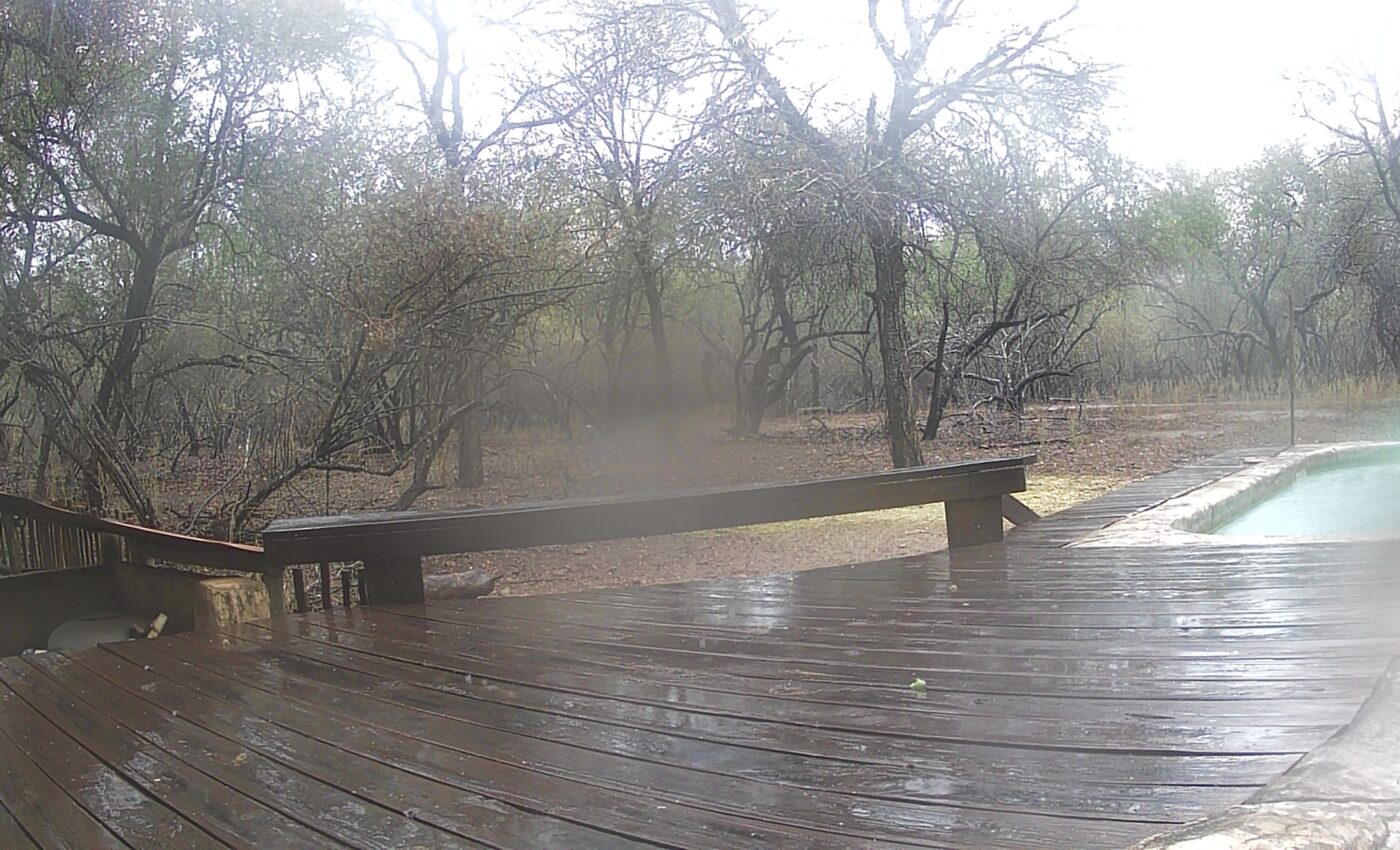 Most beautiful island in the world…New trail cam photos…Rain, rain and more rain..at last!…