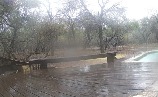 Most beautiful island in the world…New trail cam photos…Rain, rain and more rain..at last!…